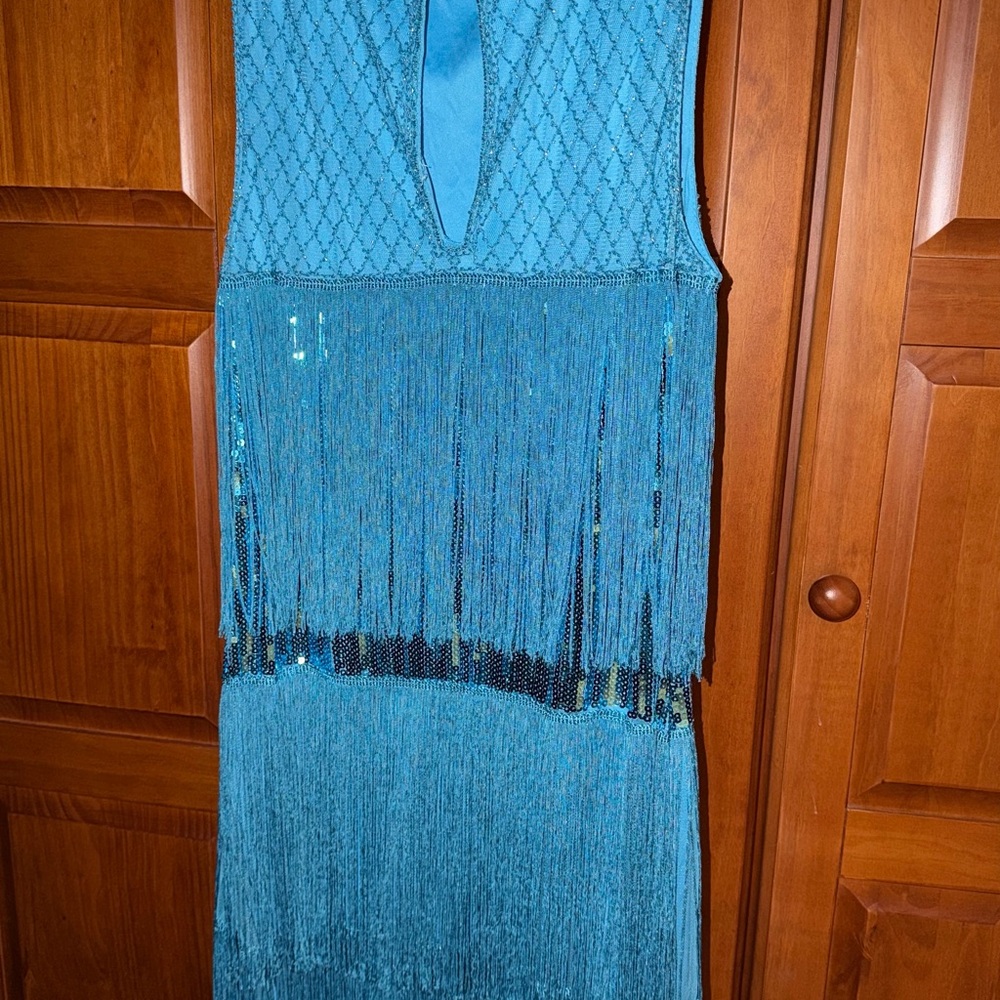 Tiered Tassel Vintage Gatsby Dress - Picture 3 of 5